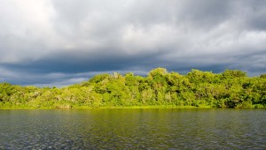 Ecuador's Amazon Jungle