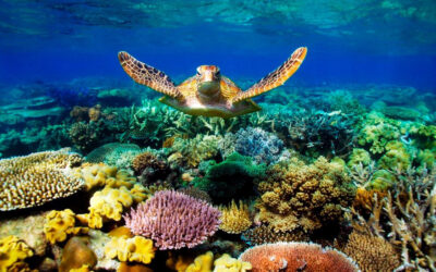 10 Reasons Why You Should Visit Belize