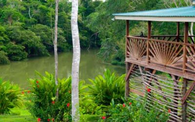 The Top 5 Jungle Lodges In Belize