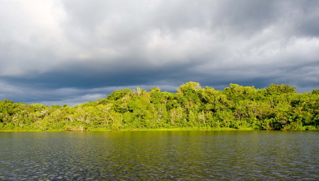Ecuador 29