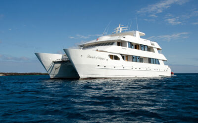 What To Expect On A Galapagos Cruise