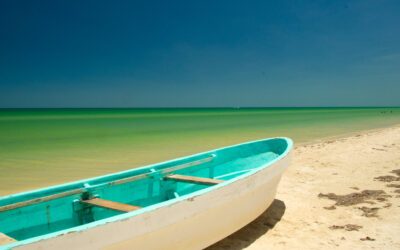 Quick Reference Guide To Mexico