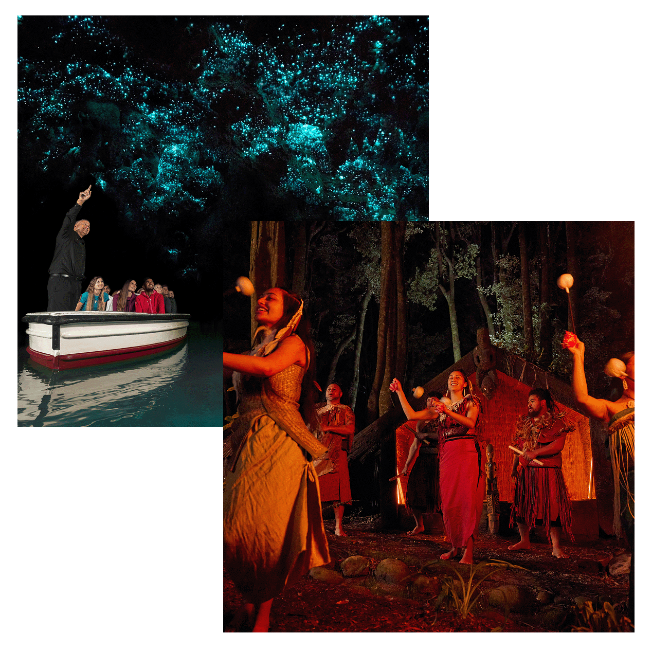 New Zealand Collage 2